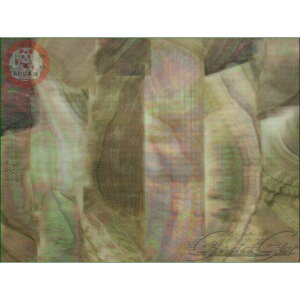 і{ ArV[g L IVFV[g  140mm×80mm(1) A[ WO a GM  C ؍H H SЕtVRLV[g Ao