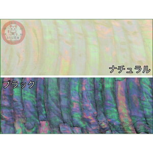 ����і{�� �A���r�V�[�g �J���y�T�U�G �󏭃V�F���V�[�g ���� 140mm×80mm(1����) ���A�[ �W�O �a�� �G�M ���� ��C �؍H �H�� �S���Еt���V�R�L�V�[�g �A�o����