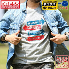 DRESS DRESSロゴTシャツ 半袖 [グレー] [サイズ：S～4XL] 6.5オンスコットン100% ティーシャツ メンズ Men's 釣り ドレス 夏物