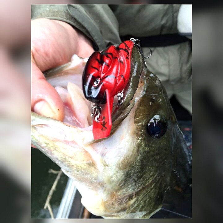 楽天市場 15日はポイント9倍ゲット可能 Rooms ルームズ Alcatraz アルカトラズ 全14カラー シャロークランク ウォータースクラッチ理論 ブラックバス 数釣り 小型クランクベイト 野池 ルアー 手作り釣具のギジェット