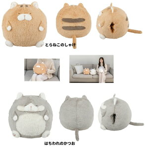 ˂m芴 RR@nh}t Ƃ˂̂Ⴏ ͂̂ @S22cm)@Q NbV ˂ObY@NbV@lR@ʂ݃NbVz˂m芴 RRn