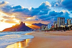 �|�X�^�[ Rio 2131