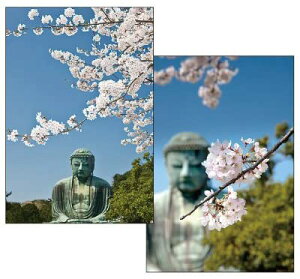 A.P.J. 3DtHg|XgJ[hC4 1000024635