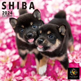 【L版】柴（shiba） 2024年カレンダー［PICT WAN］