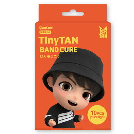 BTS TinyTAN ばんそうこう 10枚入 JUNG KOOK