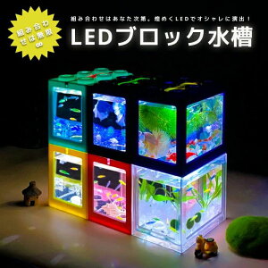 VLEDCgtubNZbg ANAE R ċx LEDƖ   AQUARIUM   킢 IuWF