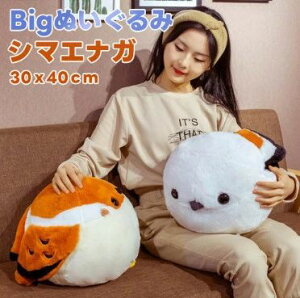 yyVX[p[SALEzbsO V}GiK V} GiK 30cm*40cm BIGʂ  Ƃ g ʂ ObY n kCV}GiK  킢 rbOʂ 