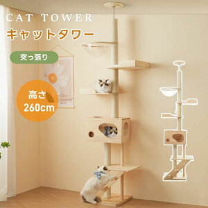 Lbg^[ L^[ Lbgc[ X ˂ 260cm ؓo^[ lR^[ FDt 艺肵₷ ܂Ƃ|[ ؐ  qL ^L }bgt ybgpi 