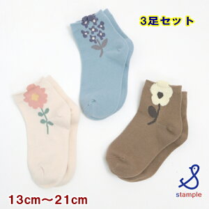 X^v stample CyX^ṽ\bNX2_Ń[֑z|bvAbvt[V[g\bNX 3Zbgi13cm`21cmjq fB[X LbY ̎q ct ۈ牀