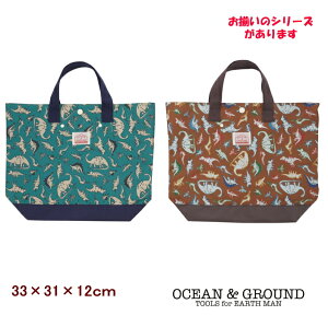 yǐՃ[֑zbXobO DINOyOceanGround/I[VOEhzq g[gobO bXobN LbY j̎q  w ʉ ʊw ct ۈ牀 w K