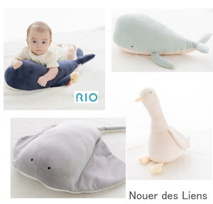 y()zoYj Mtg v[g Aj}NbViʂ݁jyNouer des Liens/kG[ fB Az Ђ GC  NbV xr[Mtg xr[ j