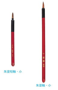 sOP ~cVts[ցElR|XΉ \tp gM hZE VR n100%hE nсEWE̍2ނIׂ܂ {݂͉̎摜