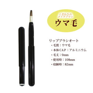 yubNzbvuVI[g bv Lbvt CAPts[ցElR|XΉ \tgтɕ֗Lbv^CvŃ|[`ی삵܂ gїp CNu