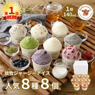 【P2倍】【NHK72時間でご紹介】 お中元 御中元 夏ギフト アイス アイスクリーム ギフト 2026 送料無料 取…