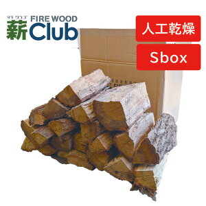 dNu ilHd21cm咆S{bNX 9-11kg Lt dXg[up Lvp  21ŏo׉