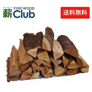 TNd36cm咆  dNu R₷Ƃ̂悤ȍ肪dBpɂlCB  dXg[up Lvp 10ȏ㎩R Lt()