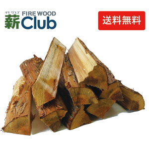 XMd50cm劄  ̃XM̐d Lvt@C[pA^t@Csbgɂ 6ȏ㎩R 