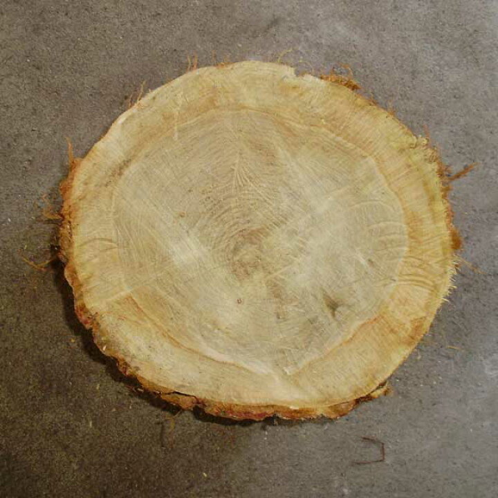 楽天市場】薪割り台 ナラ Φ30cm×高さ約25cm 切り株 薪割りの必需品 高 