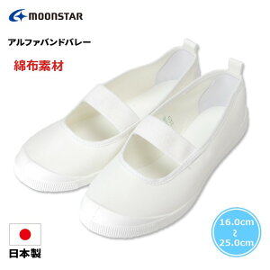 y12/1N[|5%OFFz㗚 C [X^[ At@oho[ { o[V[Y z Y  zCg LbYV[Y WjA j̎q ̎q wZ ΂ 킮 