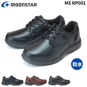 h EH[LOV[Y [X^[ C|[^[ MS RP001 Y t@Xi[t 4E L hL R CV[Y Xj[J[ V[Y rWlX ʋ C