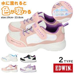 y10/4N[|10%OFFzGhEB Xj[J[ LbY WjA ̎q ₷ ₷ Ȃ y y xN }WbNe[v  EDWIN EDW-3655-3656 ʊw V[Y ^C q