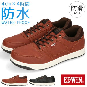 y11/5N[|5%OFFzGhEB Xj[J[ Y [Jbg h y 2E h ₷ Ȃ   ʋ ʊw J EDW-7975 C