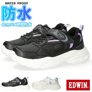 y15.16N[|5%OFFzGhEB Xj[J[ LbY ̎q h ₷ Ȃ y xN }WbNe[v   Xj[J[EDW-3672 w wZ ʊw q C J