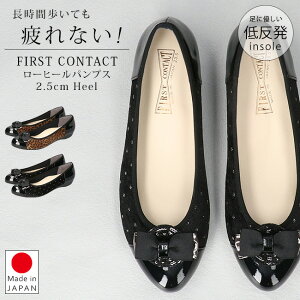 y10/30N[|5OFFzpvX ɂȂ ₷ Ȃ _炩 [q[ A[hgD y ᔽ  킢 { t@[XgR^Ng d O {