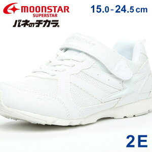 y11/1 N[|5OFFz[X^[ X[p[X^[ Xj[J[ LbY ̎q ₷ ₷ ₷ Ȃ }WbNe[v 2E y  ol̃`J Xj[J[