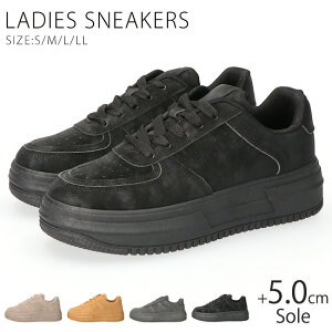 y15.16N[|5%OFFzXj[J[ fB[X  [Jbg ₷ ₷ Ȃ h y XG[h  ʋ ʊw V[Y C 95022ySPLz