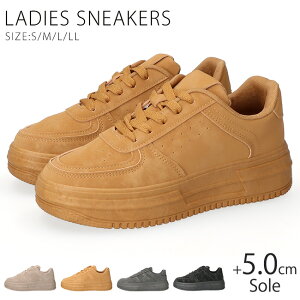 y11/25 N[|5%OFFzXj[J[ fB[X  [Jbg ₷ ₷ Ȃ h y XG[h  ʋ ʊw V[Y C 95022ySPLz