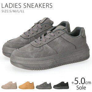 Xj[J[ fB[X  [Jbg ₷ ₷ Ȃ h y XG[h  ʋ ʊw V[Y C 95022ySPLz