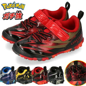 ATq K` |P Xj[J[ LbY WjA 2E y XpCN ₷ Ȃ  }WbNe[v xN jOV[Y P109ʊw y qǂ j̎q w q 