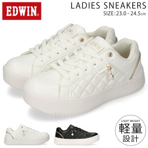 y9/25N[|5%OFFzGhEB Xj[J[ fB[X Ȃ ₷ ₷  y [Jbg  킢 ʋ ʊw ^C V[Y C EDW-4376