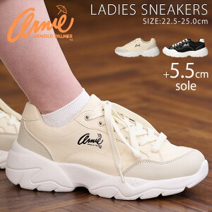 A[mhp[}[ Xj[J[ fB[X  ₷ Ȃ ɂ ₷ y [Jbg 5.5cm\[ AN0968 킢  ʋ ʊw V[Y C