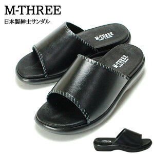 y15.16N[|5%OFFzGX[ T_ Y  ₷ Ȃ T_ M-THREE 2019 {  RtH[gT_ am ItBX  C