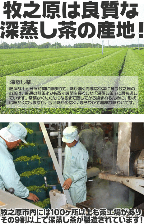 紫鳳 新茶 1kg 静岡県産 アルミパック 楽天市場】2025年度産 新茶 ご予約中 送料無料 お茶 深蒸し茶