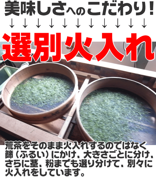 紫鳳 新茶 1kg 静岡県産 アルミパック 楽天市場】2025年度産 新茶 ご予約中 送料無料 お茶 深蒸し茶