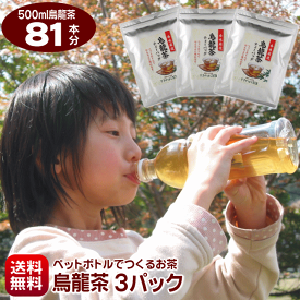 楽天市場 烏龍茶 水出し パックの通販