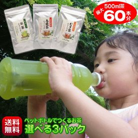 お茶 ティーバッグ 500ml 60本作れる 細長パック 1本あたり28円 ペットボトル 緑茶 烏龍茶 麦茶 玄米茶 ほうじ茶 はと麦茶 和紅茶 お好きなお茶を3種類選べる ティーパック 水出し緑茶 水出し茶 冷茶 無添加 抹茶 静岡茶 国産 お試し 送料無料 ポスト投函
