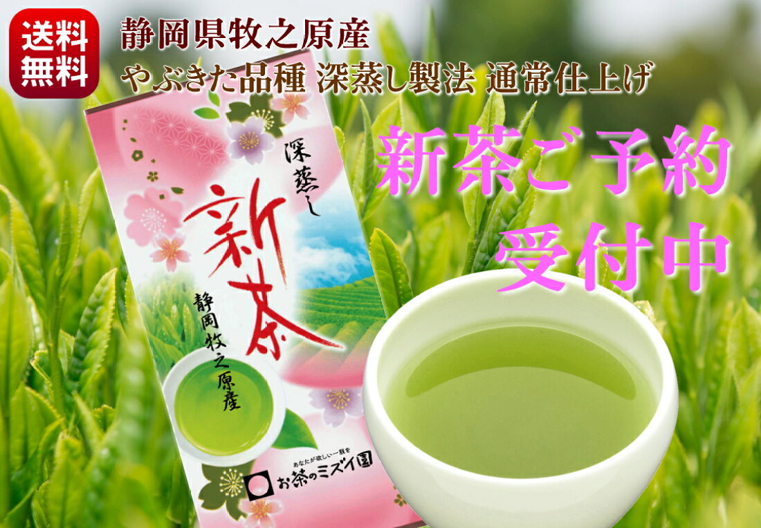 推奨 お茶 緑茶 ティーバッグ 100個 パック カップ マイボトル 水筒 送料無料 ミニサイズ お徳用 1.8g×100袋 ホット アイス 兼用 深蒸し茶 抹茶入り 水出し 冷茶 急須 ティーパック 送料無料 お茶 ティーパック 立体三角 さんかくティーバッグ 3パック選べる 緑茶 深蒸し茶 抹茶入り玄米茶 ほうじ茶 和紅茶 カップ用 急須用 ポット用 お試し ポスト投函
