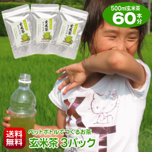  500mloĒ60{ג`eB[obO ybg{gł錺Ē 20×3pbN   { o o oΒ |Xg