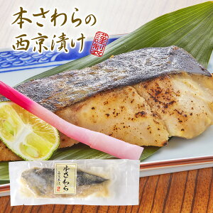 {琼Ђ 1؂ s X ^pbN    T   ܂    ǂ ӎ