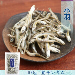 ϊ肱 100g QY Y@@o` JVE   p e ܂    ǂ ӎ zCgf[ Ղ