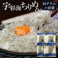 宇和海ちりめんパック 愛媛県産 ちりめん ちりめんじゃこ 10g×10袋 宇和海ちりめん ランキング入り とれ…