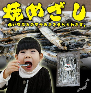 Ă߂ 70g ˓Y J^N`CV Q ق FaC t ̂܂ JVE    ܂  ǂ ӎ o^C zCgf[ Ղ