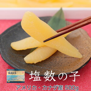 ̎qyyMt_zyyMt_̂zyyMt_̂zΕ@Mtgysmtb-KDz@Ԍ@@Ε