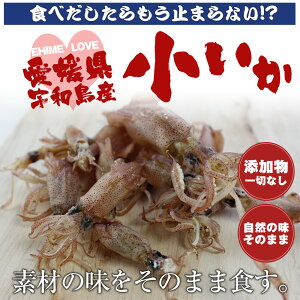 小いか 丸干し 55g 愛媛県 宇和島産 無添加 自然の味 味付けなし 送料無料 お取り寄せ お試し おつまみ 乾物 おかず おやつ こども 晩酌 ホワイトデー 雛祭り
