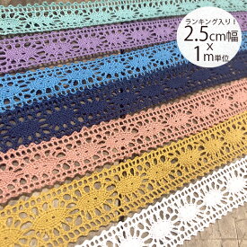 【ランキング入り】2.5cm幅 コットン風 ハシゴレース 再入荷なし！フラワーレース レースリボン ナチュラル 手芸用レース ブレード リボンテープ ヘアアクセサリー 巾着 ポーチ バッグ 服飾 手芸材料 商用利用可 1m単位営業日即日発送【ワールデザインmakiras】
