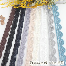 【七夕飾りや初夏におすすめ素材も多数！】 2から2.5cm幅 フリルレースリボン 光沢レース フリルテープ なめらかリボン 手芸用リボンパーツ 営業日即日発送